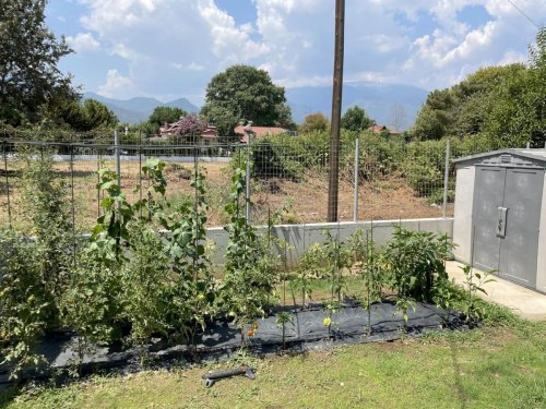 15 garden