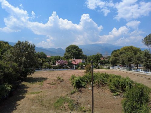 garden view 1